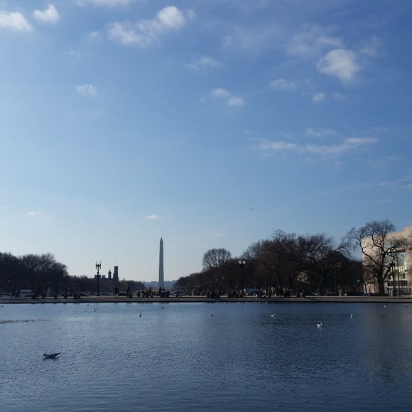 Meet your Posher, Linda - Picture 1 of 1